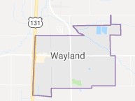 wayland homes for sale